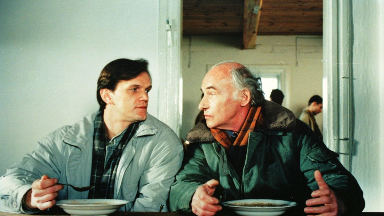 Najśmieszniejsze polskie komedie