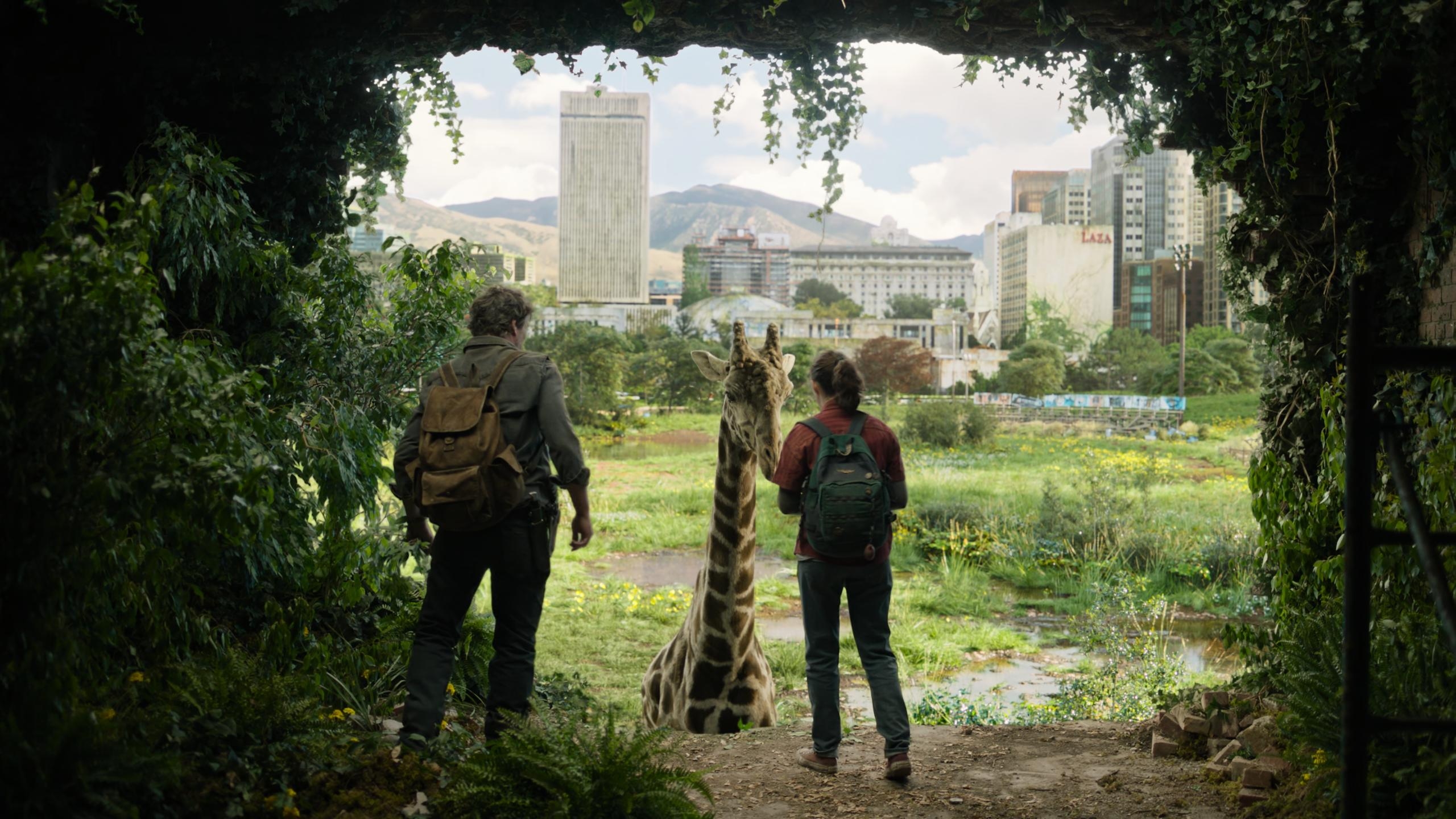 Polecane filmy i seriale HBO Max