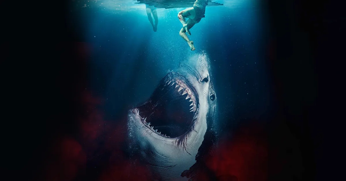 Najlepsze filmy o rekinach
