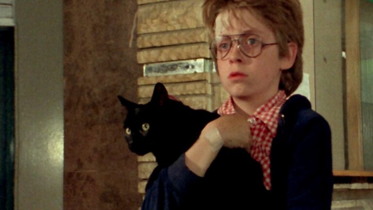 Polskie seriale dla dzieci: lata 80.i 90.