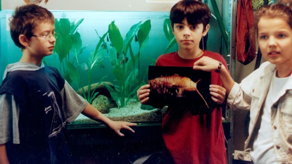 Polskie seriale dla młodzieży - lata 2000.