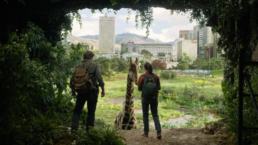 Polecane filmy i seriale HBO Max